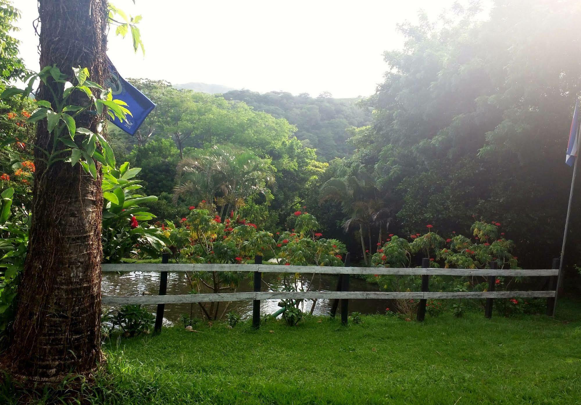 Rancho De Lelo Ecolodge Monteverde Eksteriør bilde
