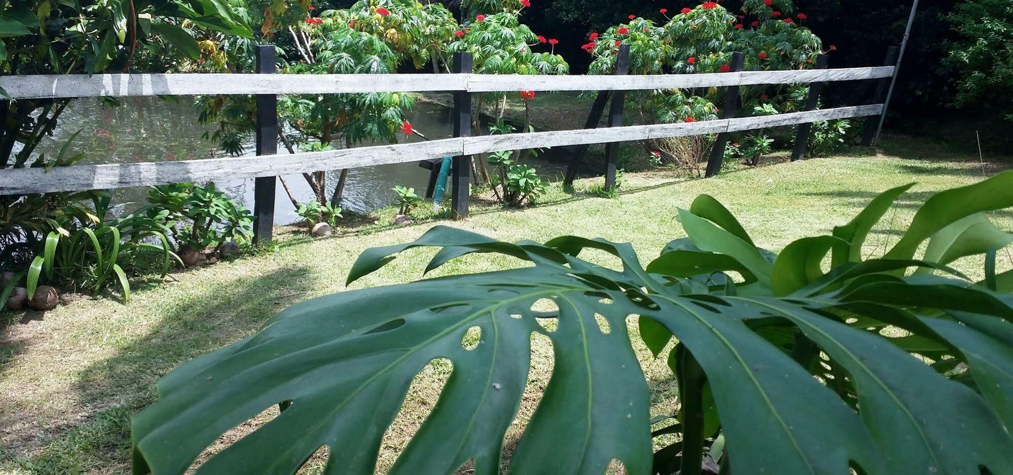 Rancho De Lelo Ecolodge Monteverde Eksteriør bilde