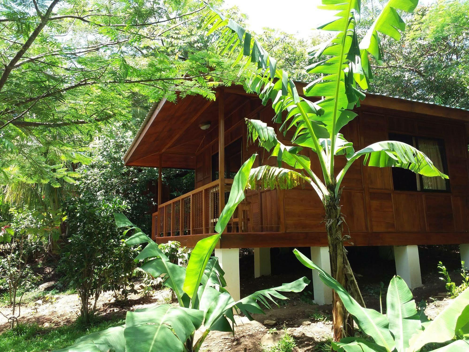 Rancho De Lelo Ecolodge Monteverde Eksteriør bilde