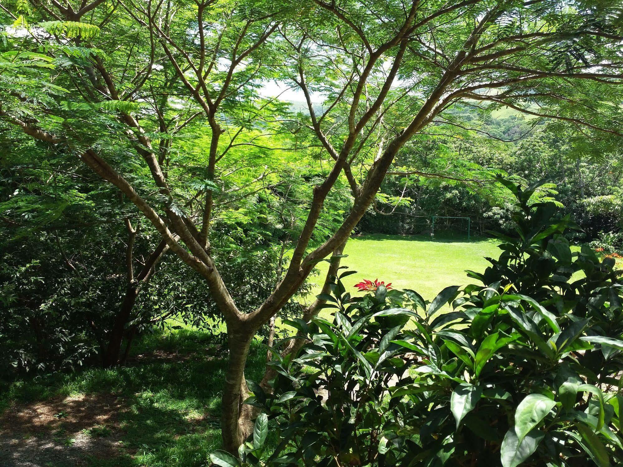 Rancho De Lelo Ecolodge Monteverde Eksteriør bilde