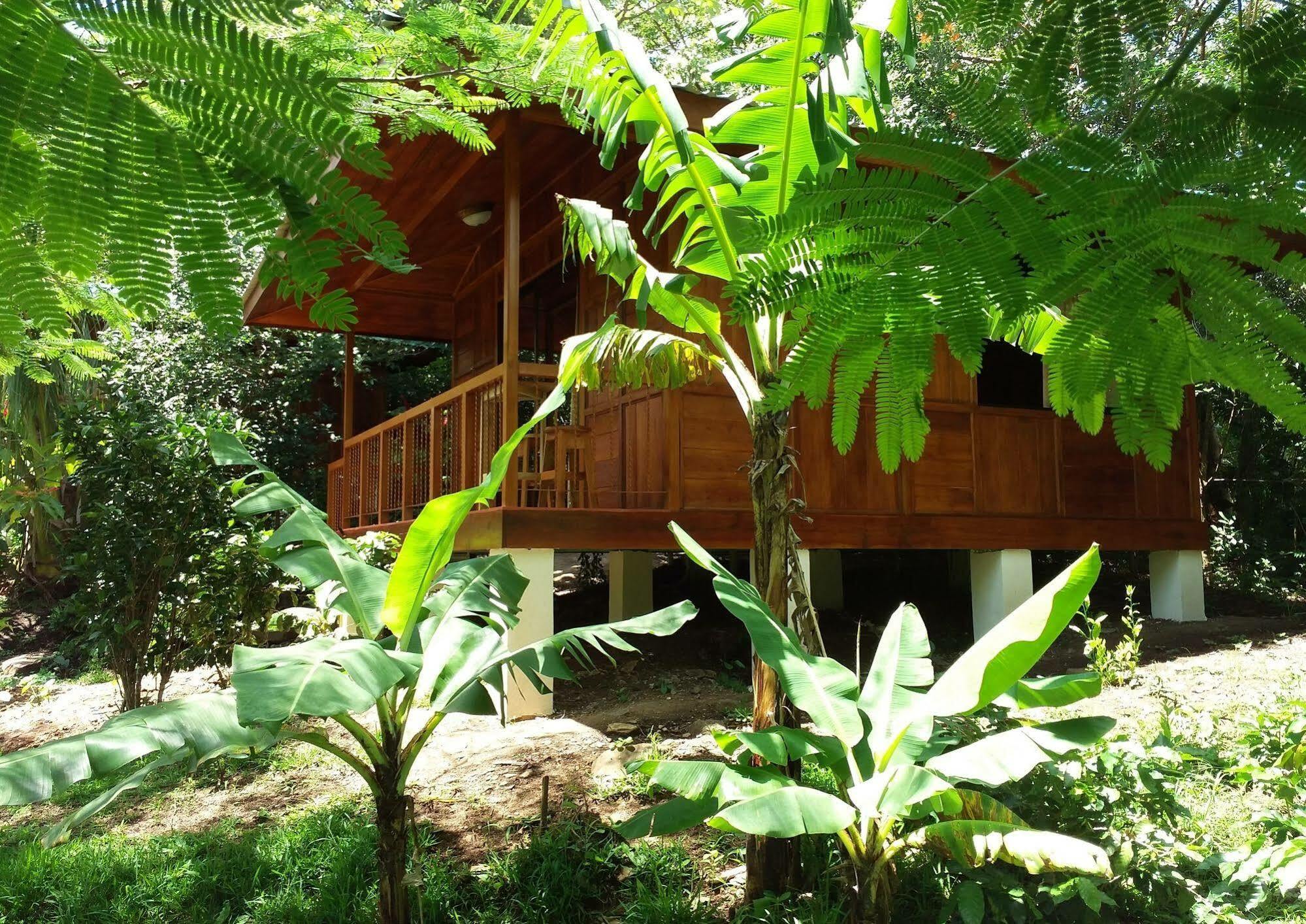 Rancho De Lelo Ecolodge Monteverde Eksteriør bilde